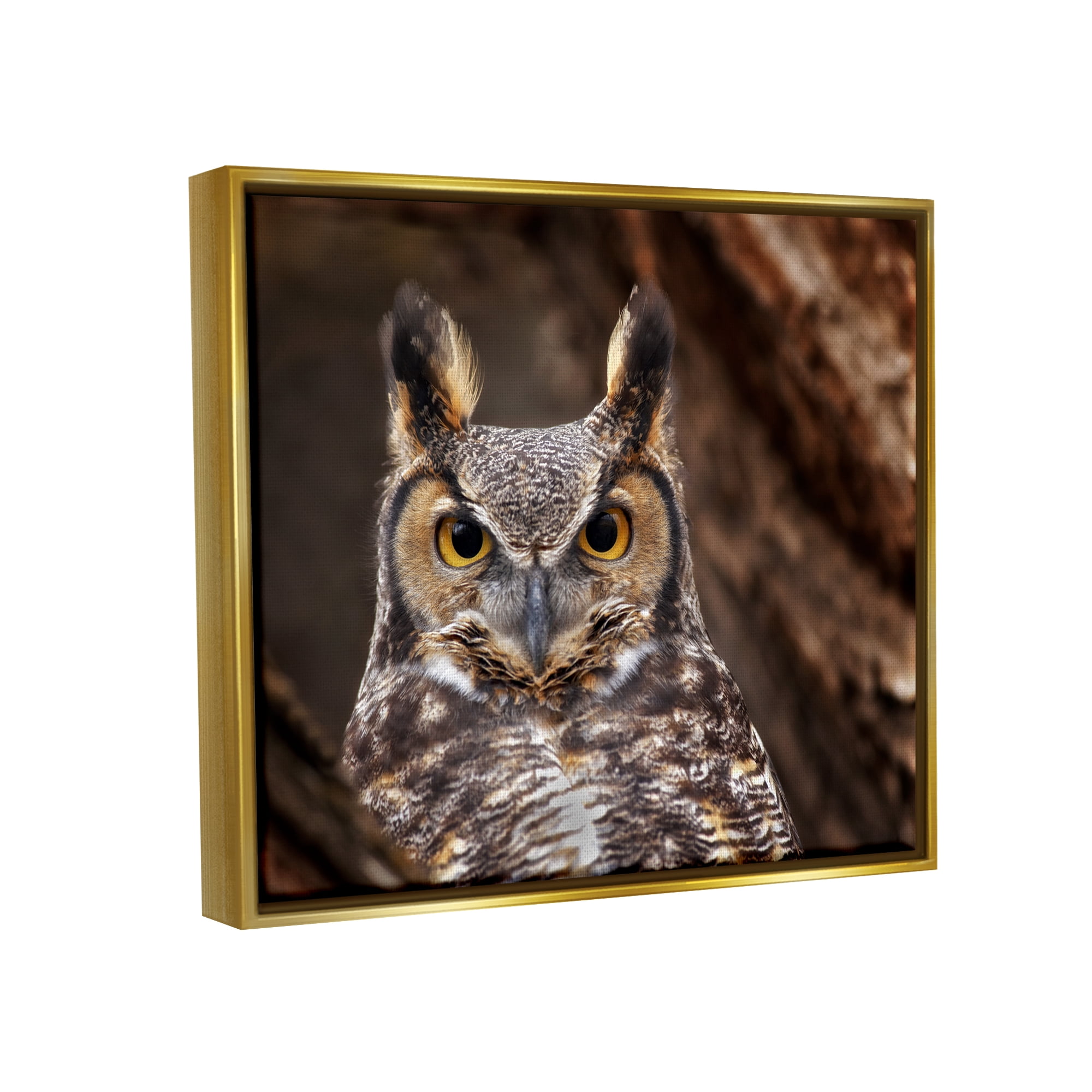 Stupell Industries Horned Owl Nature Photography Animals & Insects Photography Gold Floater Framed Art Print Wall Art