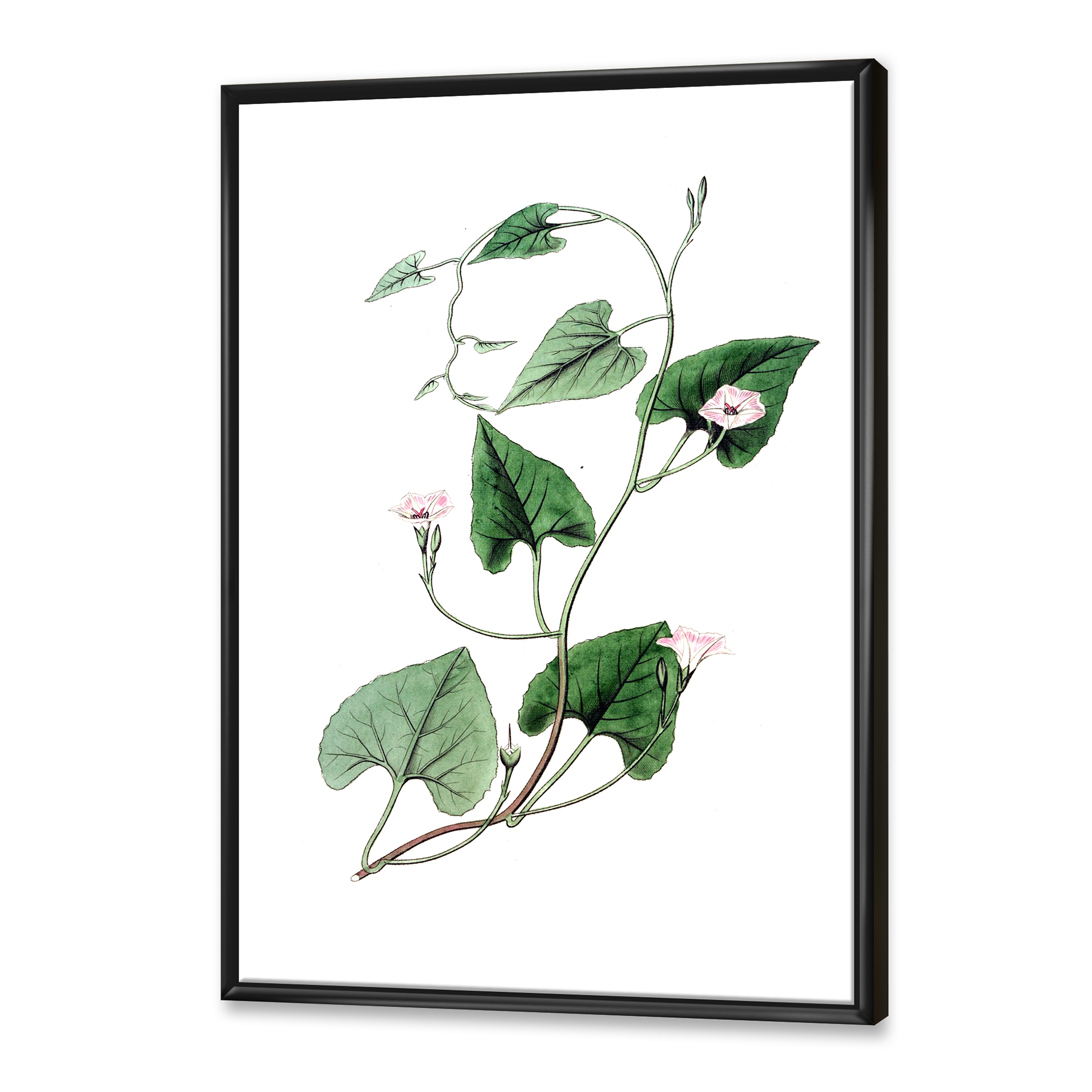 Designart 'Ancient Green Leaves Plants IX' Traditional Framed Canvas Wall Art Print