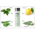 thumbnail image 2 of Tónico facial RAYA Camphor Astringent (204) para piel grasa 240 ml, 2 of 8