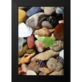 thumbnail image 2 of Calkins, Michelle 13x18 Black Modern Framed Museum Art Print Titled - Petoskey Stones I, 2 of 5
