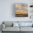 thumbnail image 2 of Trademark Fine Art 'High Desert Sky III' Canvas Art by Silvia Vassileva, 2 of 4