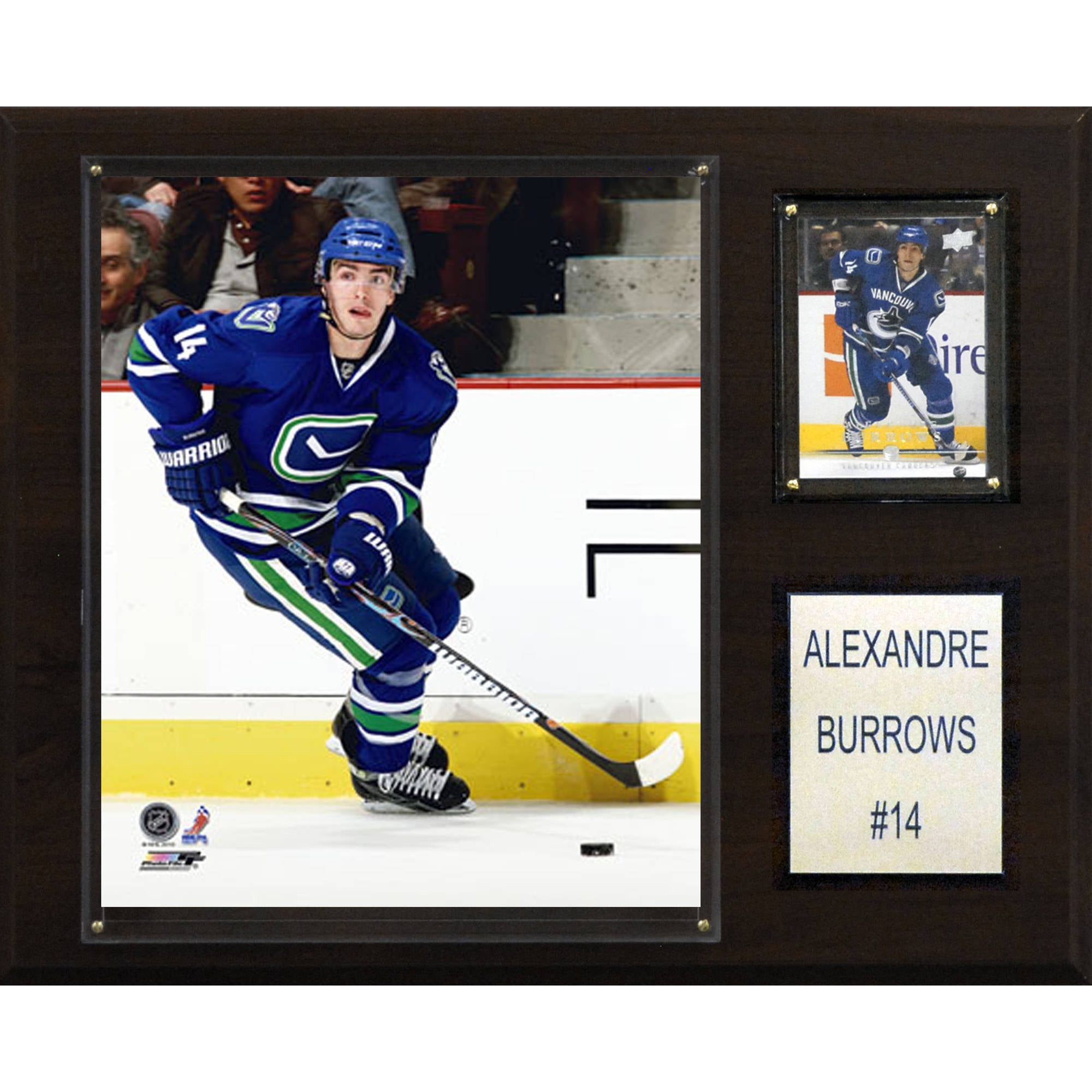 C&I Collectables NHL 12x15 Alex Burrows Vancouver Canucks Player Plaque by C & I Collectables