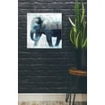 thumbnail image 2 of Epic Art 'Elephant' by Linda Woods, Acrylic Glass Wall Art, 24"x24", 2 of 3