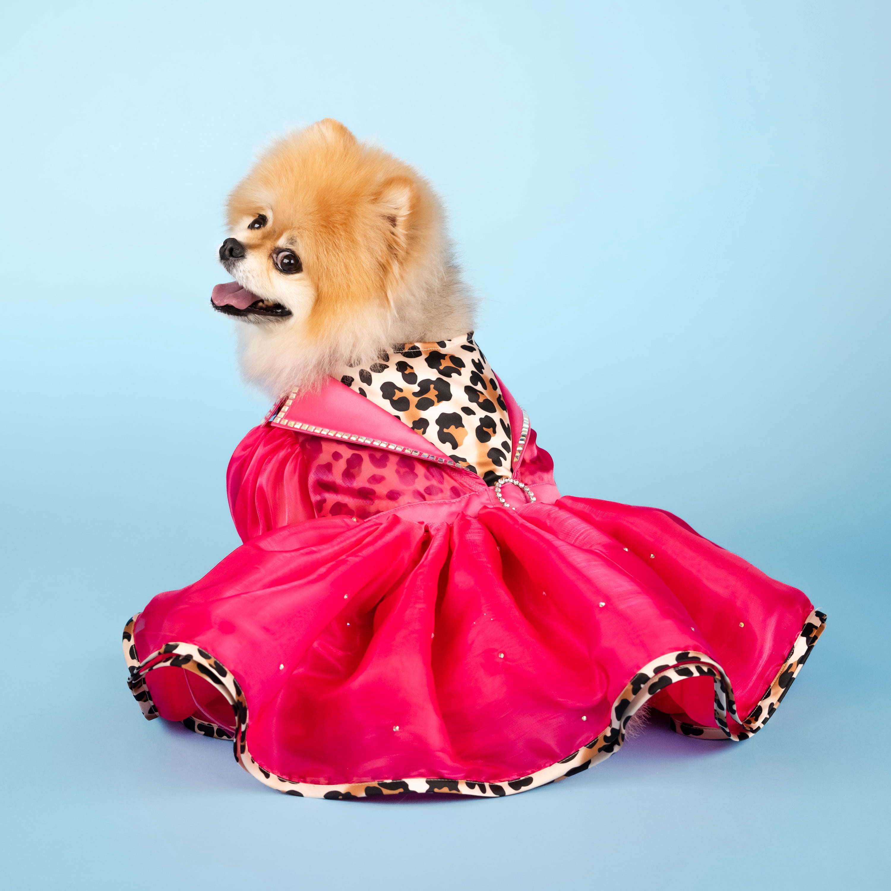 Doggy Parton, Dog and Cat Clothes, Leopard Notched Collar Pet Dress, Pink, XS