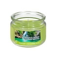 thumbnail image 1 of 3 Oz Parfumée Pot En Verre Avec Couvercle (Getaway Tropical) - Set of 2, 1 of 1