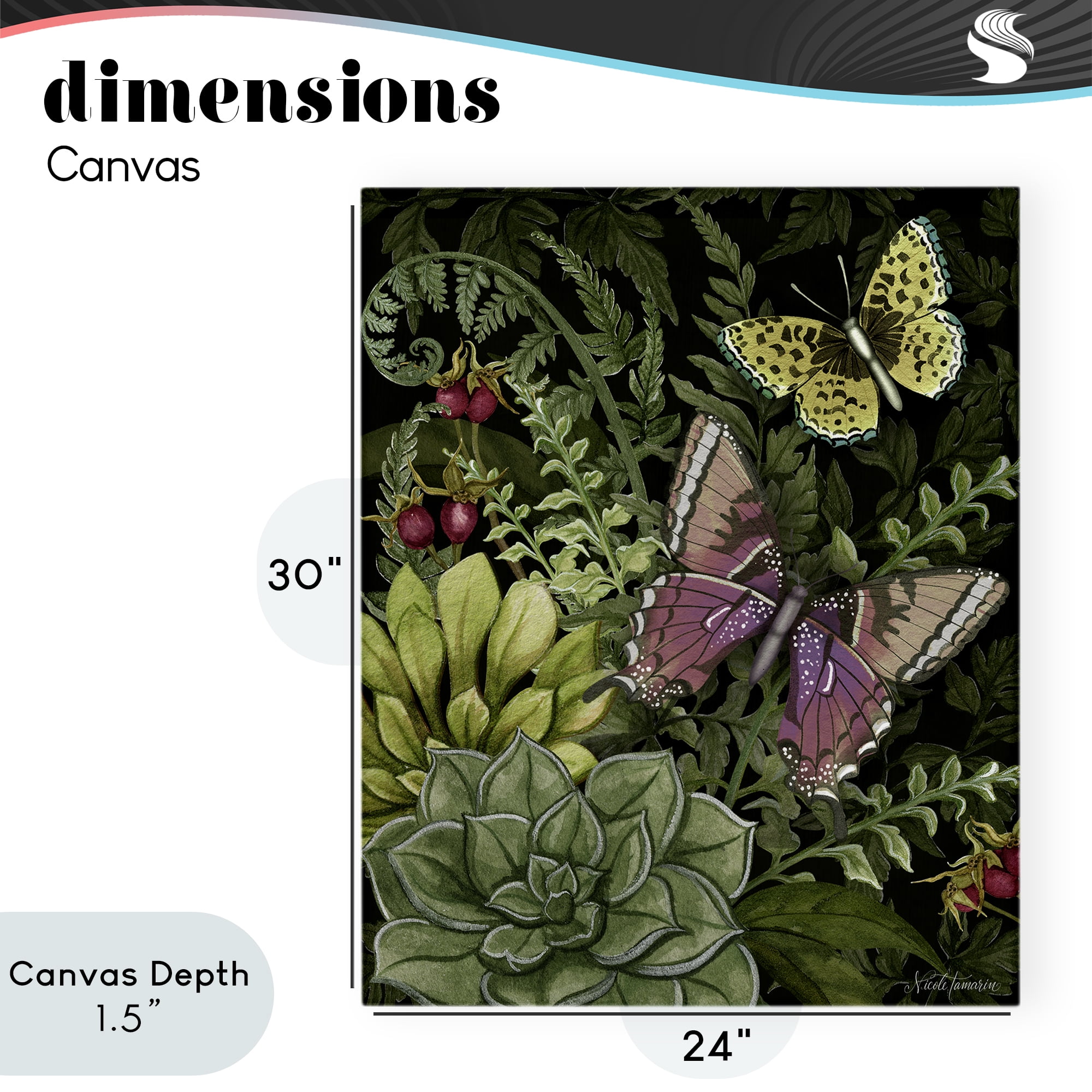 Stupell Industries Dark Succulents Midnight Garden Canvas Wall Art, design by Nicole Tamarin