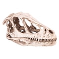 thumbnail image 3 of Resin Dinosaur Skull Model Lifelike Simulation Office Decor Craft for Dinosaur Enthusiasts Desktop Display, 3 of 7
