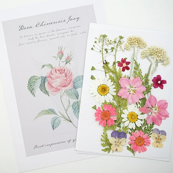 Arestory Natural Dried Flowers Combination DIY Pressed Herbarium Flower Decorative for Resin Jewelry Crafts Nail Stickers