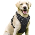 thumbnail image 2 of Rabbitgoo Arnés para Perros, Arnés para Mascotas sin Tirones con 2 Clips para Correa, Chaleco para Perros Acolchado Suave y Ajustable, Chaleco Oxford Reflectante para Mascotas sin asfixia con asa de f, 2 of 4