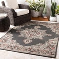 thumbnail image 3 of Mark&Day Outdoor Rugs, 2x4 Lyla Traditional Indoor/Outdoor Black Area Rug, Non Shedding Black Carpet for Patio, Porch, Deck, Bedroom, Living Room or Kitchen (2'5" x 4'5"), 3 of 4
