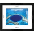 thumbnail image 3 of Aerial View of Blue Hole at Lighthouse Reef, Belize, Scenic Framed Art Print Wall Art by Greg Johnston Sold by Art.Com, 3 of 6
