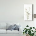 thumbnail image 3 of Trademark Fine Art 'Botanica Whimsy II' Canvas Art by June Erica Vess, 3 of 4