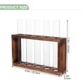 thumbnail image 2 of OULII Hydroponic Vase Test Tube Glass Smooth 1 Set, 2 of 8