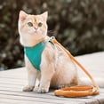 thumbnail image 6 of Pawras Cat Harness and Leash, Escape-Proof Vest Cat Harness and Leash, Breathable Soft Adjustable Escape Proof Cats Leash for Outdoor Walking, 6 of 9