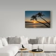 thumbnail image 3 of Trademark Fine Art 'Silhouette of the Tropics' Canvas Art by Pierre Leclerc, 3 of 3
