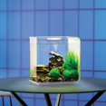 thumbnail image 3 of Acuario BiOrb Flow 15 con iluminación MCR de 15 litros, color blanco, 3 of 5