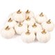 thumbnail image 4 of Yuarrent 12 Uds modelo Artificial casa jardín interior exterior accesorio decorativo manualidades DIY suministros festivos Mini figurita Acción de Kits de decoración para fiestas Blanco Yuarrent HA044562-01, 4 of 6
