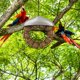 thumbnail image 4 of Comedero Para Pájaros Al Aire Libre Comedero Colgante De Hierro Forjado Sebo Comedero Para Pájaros Yuarrent PT002216-00, 4 of 6