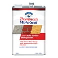 thumbnail image 3 of Thompson's WaterSeal Clear Multi-Surface Waterproofer, Clear, 1 Gallon, 3 of 9