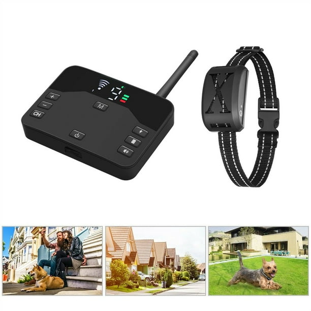 Wireless dog fence walmart clearance canada