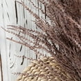 thumbnail image 3 of 100% Natural Decorative Birch Branches For Vases, Centerpieces Diy Crafts, 3 of 4