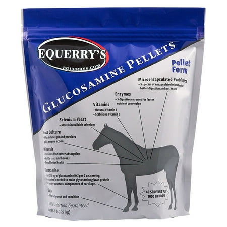 UPC: 0853108004445 | Equerry s Glucosamine Formula 1 oz. Provides 8000 mg of Glucosamine HCL 5lb.