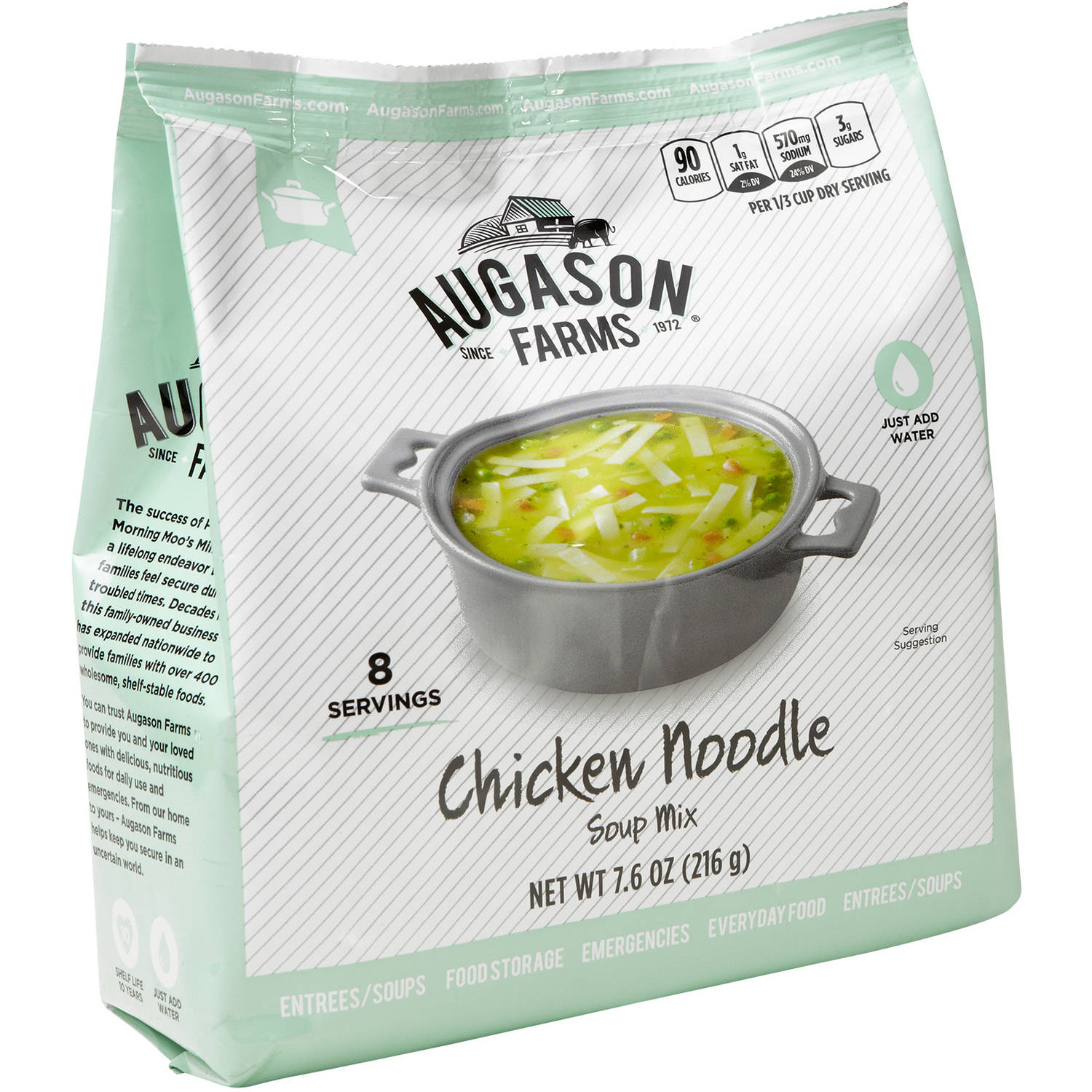 Augason Farms Chicken Noodle Soup Mix, 7.6 oz by BLUE CHIP GROUP INC