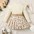thumbnail image 4 of 3T Baby Girls Clothes 4T Girls 2PCS Outfits Set Solid Color Toddler Girls Long Sleeve Top Skirt Set Apricot, 4 of 8