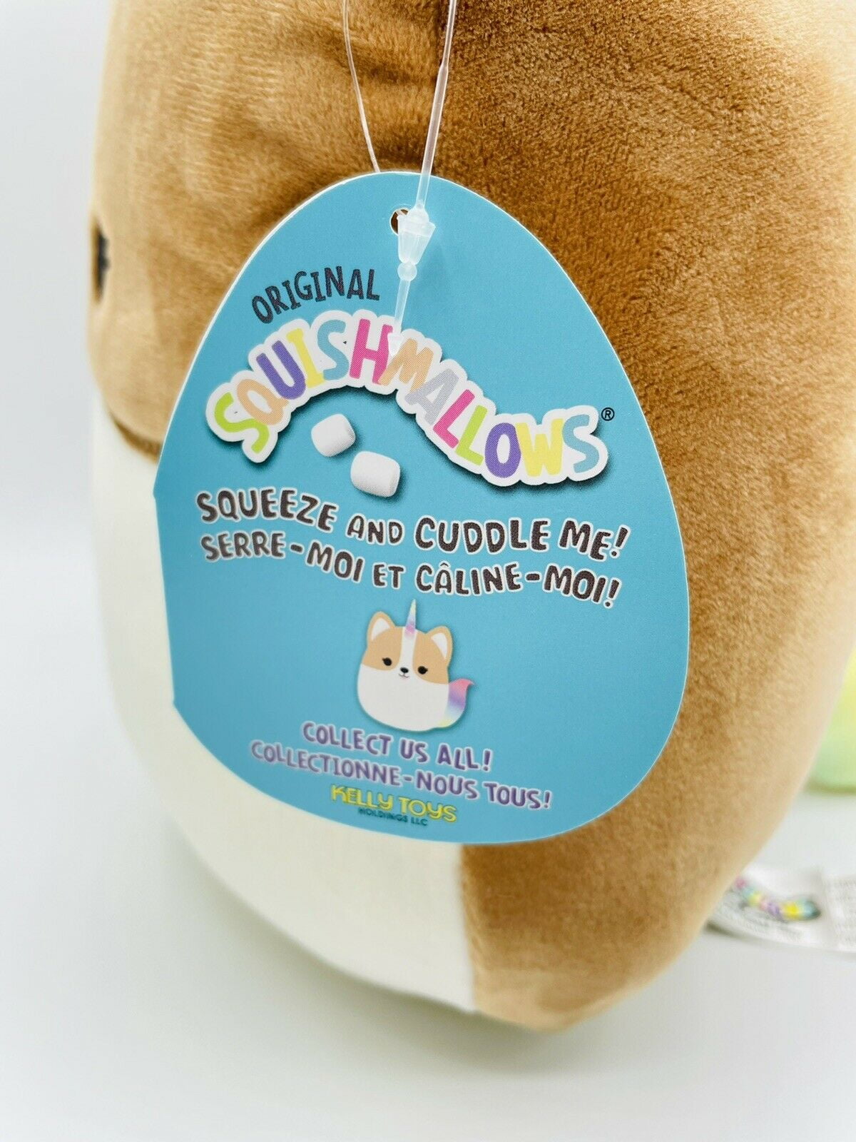 squishmallows 💗 in 2023  Cute squishies, Cute plush, Adventure time  marceline