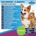 thumbnail image 7 of Cat & Dog Multivitamin Liquid | 15-in-1 Supplement with Cranberry & Glucosamine | Urinary, Joint, Skin & Coat Support | 60 ml, 7 of 7