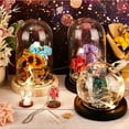 thumbnail image 7 of 10 Sets Mini Eternal Flower Glass Dome Cloche Clear Glass Display Case with 2 Colors Wooden Base Bell Jar Cloche for Centerpieces Plants Rocks Specimens Decorations Crafts 3.9x2.5 cm, 7 of 7