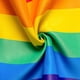 thumbnail image 3 of Flag Lgbtq Pride Flag Bandera De Jardín De Doble Cara Para Decoración De Interiores Y Exteriores Yuarrent HA040342-02, 3 of 6