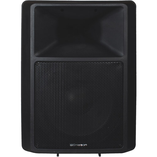 12 inch speaker 300 watt