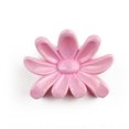 thumbnail image 4 of 6 Pieces Light Pink Hair Claw Clips: The Ultimate in Hair Styling! Clips Girl Brand, 4 of 7