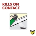 thumbnail image 4 of Raid Home Insect Killer, for Indoor and Outdoor Use, 350g, 4 of 9