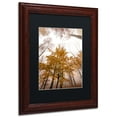 thumbnail image 3 of Trademark Fine Art "Foggy Days" Canvas Art by Philippe Sainte-Laudy Black Matte, Wood Frame, 3 of 5