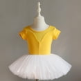 thumbnail image 2 of Justaucorps de Ballet pour Filles, Robe Tutu pour Filles avec Jupe Attachée, Tenue de Danse Sans Manches à Col Rond, Polyester Extensible Doux pour Pratique, Récitals, Usage Quotidien, 2 of 5