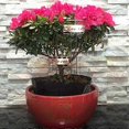 thumbnail image 4 of 10Pcs Garden Potted Flower Arrangement Sign Stainless Steel Sign Plant Nameplate Label Gardening To, 4 of 5
