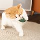 thumbnail image 2 of Adorable muñeca interactiva para perros y gatos. Juguete masticable suave y gracioso para cachorros estresados. Compañero adorable. Actividad enriquecedora para animales., 2 of 6
