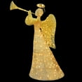 thumbnail image 4 of National Tree Company Pre-Lit  Champagne Angel, Warm White Lights,  LED, 60 Inch,  Indoor or Outdoor Use., 4 of 4