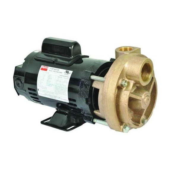 Dayton Turbine Pump,3/4 HP,115 to 230V,3450 rp 53EA96