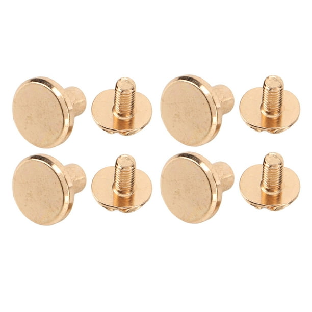 Flat head outlet screw earrings