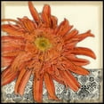 thumbnail image 2 of Goldberger, Jennifer 26x26 White Modern Wood Framed Museum Art Print Titled - Botanica I, 2 of 4