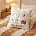 thumbnail image 6 of Pumpkin Embroidery Throw Pillow Cover Pumpkin Letter Decorative Square Sofa Cushion Cover Fall Farmhouse Couch Decor by OVFUIZ, 6 of 8