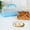 Blue, variant on Portable Bread Box with Handle Loaf Cake Container Plastic Rectangular Food Storage Keeper Carrier 13inch Translucent Dome for Pastries, Bagels, Bread Rolls, Buns or Baguettes (Blue)