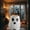 C, variant on Halloween Table Covers - 2 Pack Ghost Face Table Cloth for Bar Wedding Party Banquet Picnic Kitchen Dining Room, White Tablecloth, L