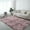 Pink, variant on Matoen Soft Floor Carpets for Bedroom Living Room, Fluffy Area Rug , Fuzzy and Comfy Carpet Rug for Room Décor, Coffee, 3x5 Feet