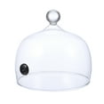 thumbnail image 5 of Viveous 1 Pc Glass Cake Bread Display Cover Dessert Cloche Practical Dish Cover, 5 of 10