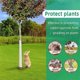 thumbnail image 5 of 6 PCS Tree Trunk Protector, Plastic Spiral Tree Guard-Tree Bark Protector Tube Wraps to Protect Sapl, 5 of 5