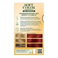 thumbnail image 2 of Tinte para cabello Soft Color Wella semipermanente 645 rojo granate, 2 of 4